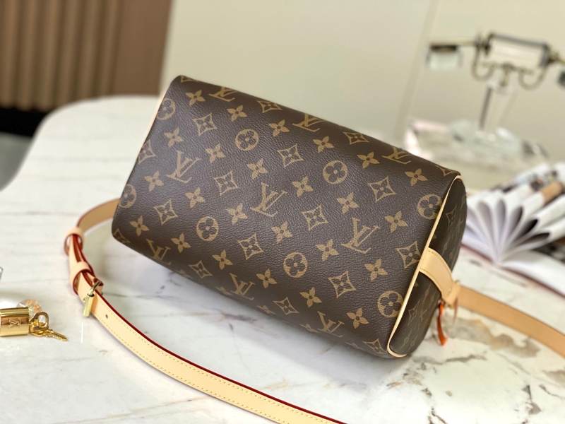 LV Speedy Bags